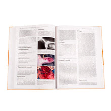 Cargar imagen en el visor de la galería, Manual de Cirugía de la Cabeza, Cuello y Tórax
